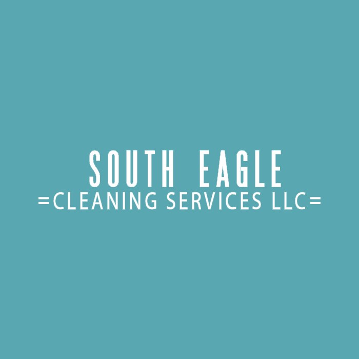 SouthEagle Cleaning Services LLC